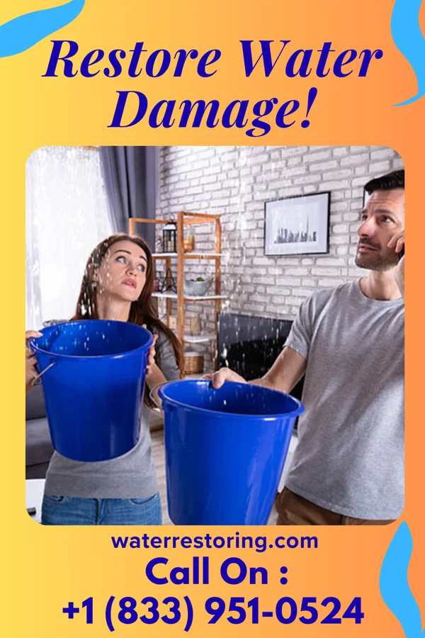 water restoration Reliable Flood Force Beecher
