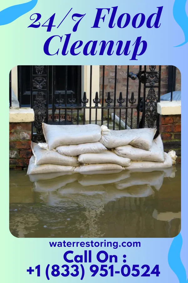 24/7 Flood Cleanup in Beecher, IL