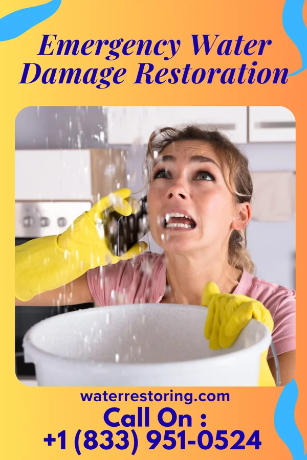 Emergency Water Damage Restoration in Beecher, IL