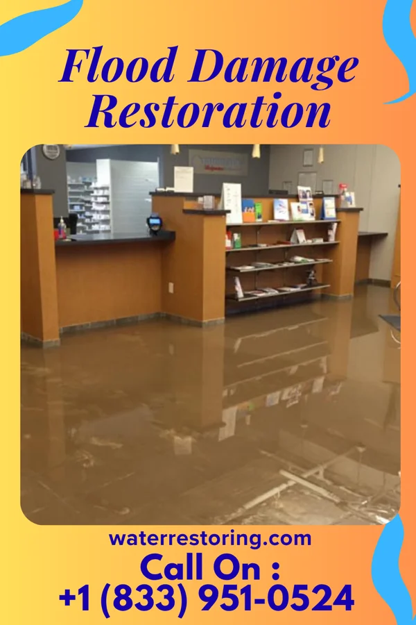 Flood Damage Restoration in Beecher, IL