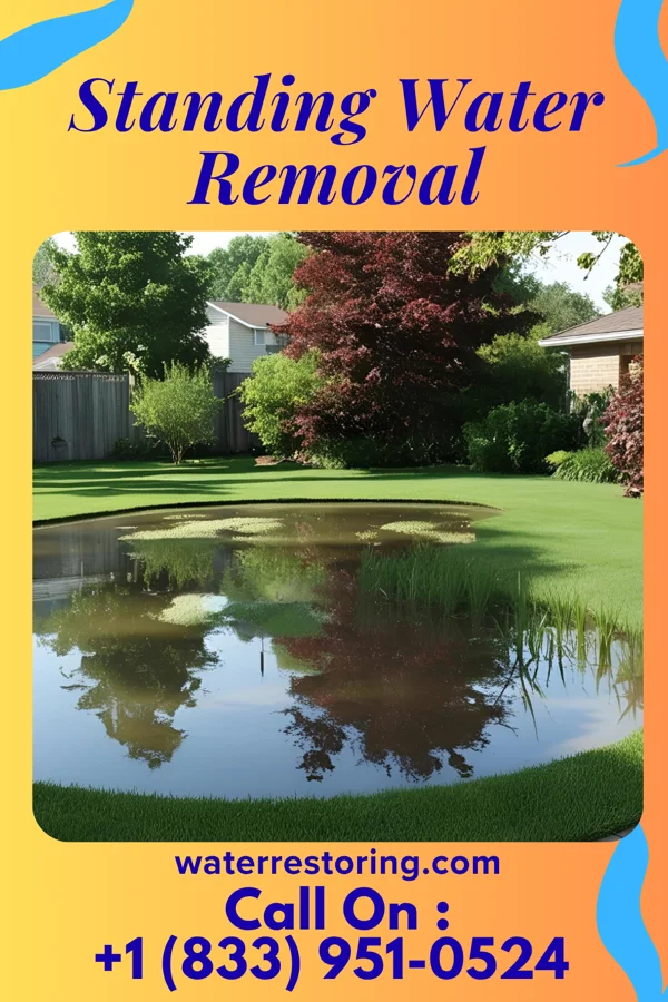 Standing Water Removal in Beecher, IL